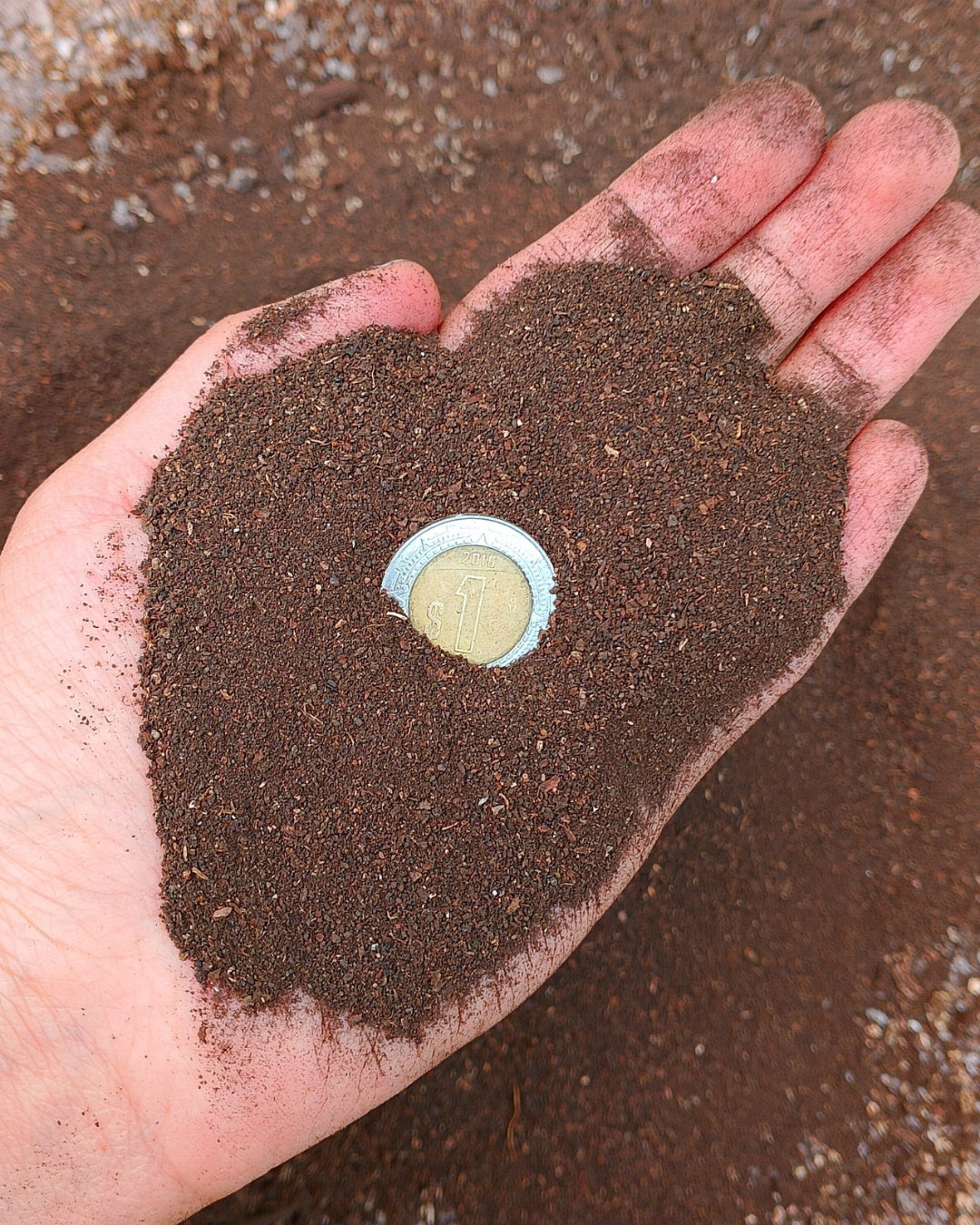 Humus de lombriz solido