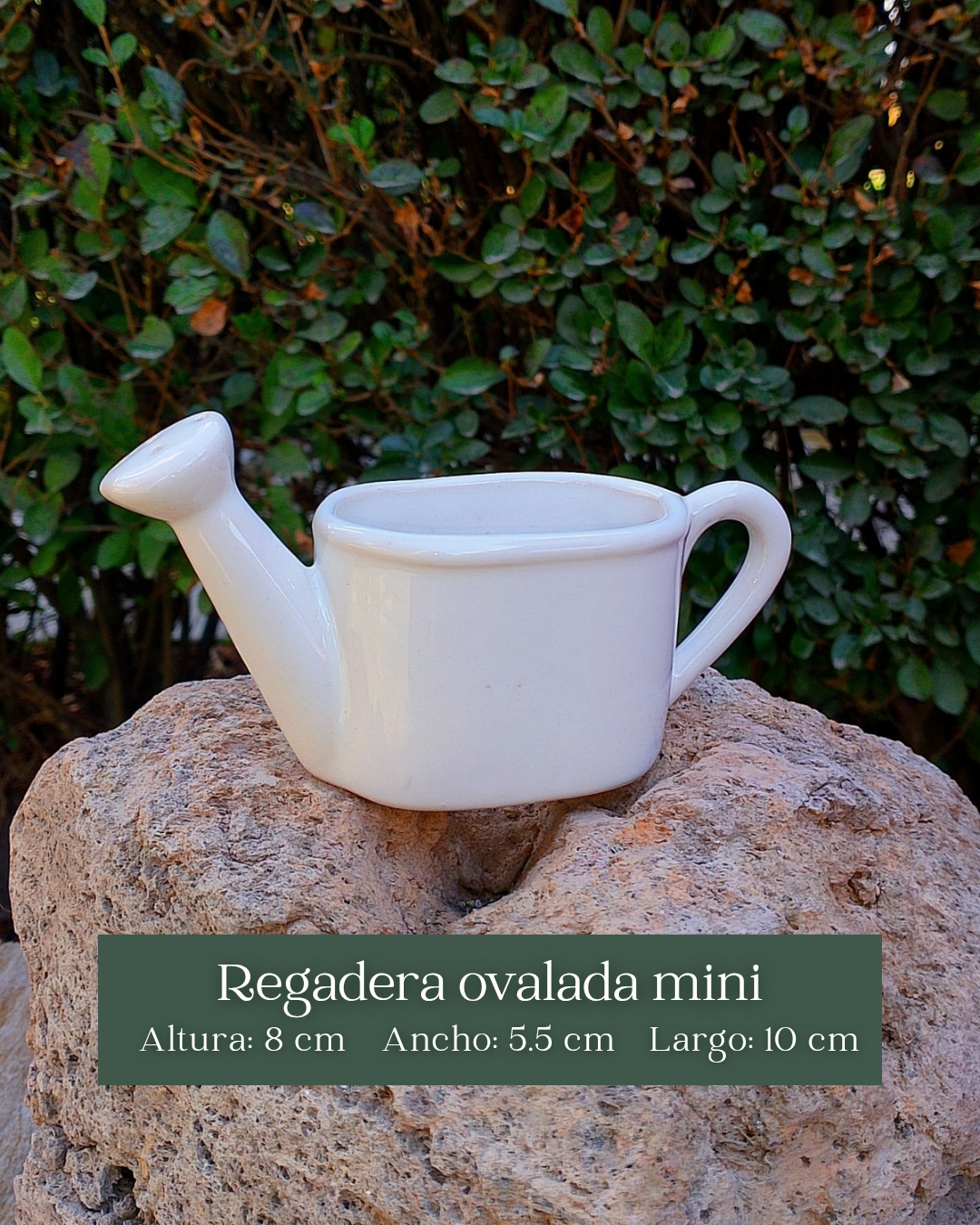 Macetas de cerámica